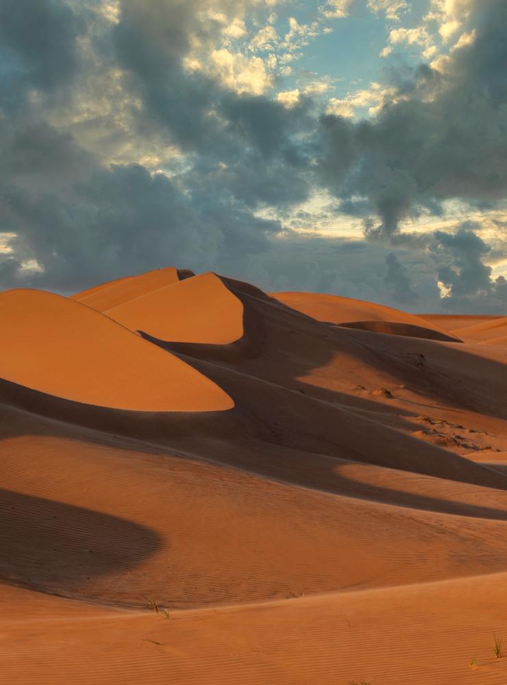 Tra le dune dorate
