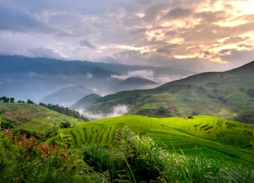 #PartiConNoi Vietnam