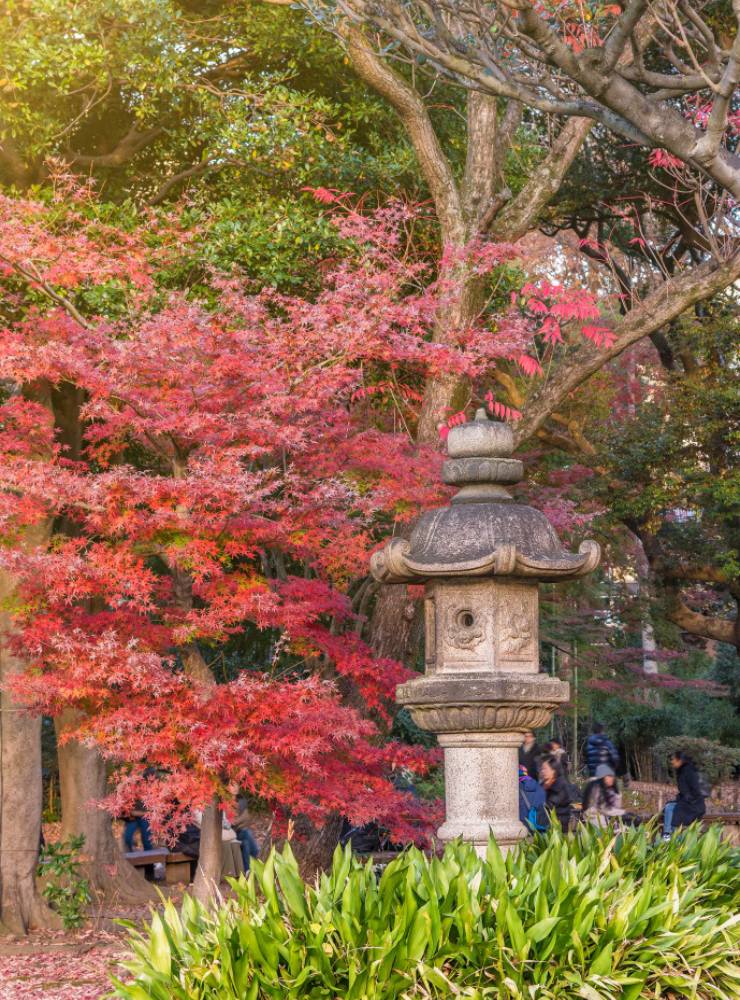 Templi e colori infuocati